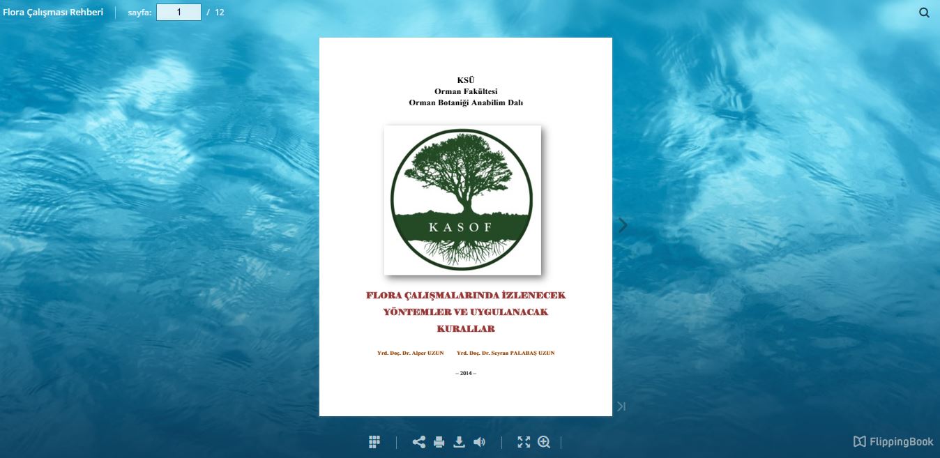 Graduation Thesis Introductory Booklets (FLORA)