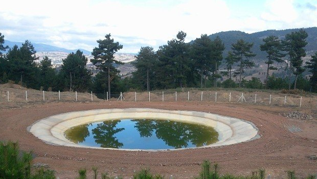 ORMAN ENTOMOLOJİSİ VE KORUMA ANABİLİM DALI