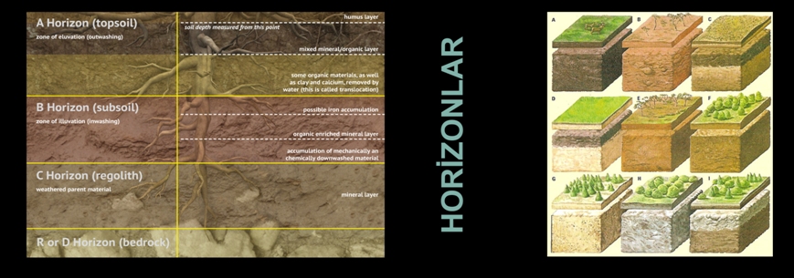 SOIL SCIENCE AND ECOLOGY