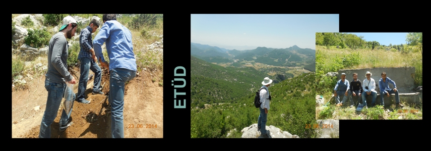 SOIL SCIENCE AND ECOLOGY