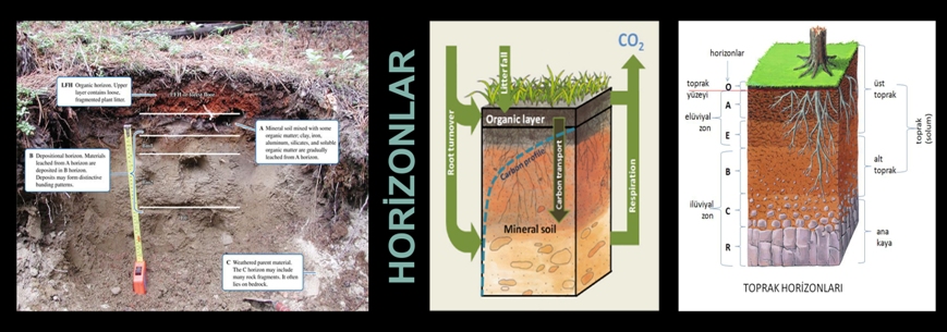 TOPRAK İLMİ ve EKOLOJİ ANABİLİM DALI