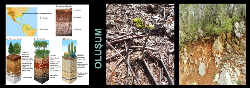 TOPRAK İLMİ ve EKOLOJİ ANABİLİM DALI