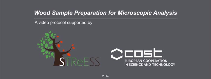 Department of Wood Science and Technology, University Ljubljana (Slovenia)